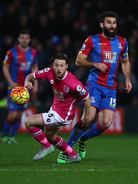 成功驯服了 成功驯服了